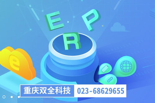 生产车间物料管理重庆渝中区管家婆软件二次开发